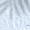 FFbanner